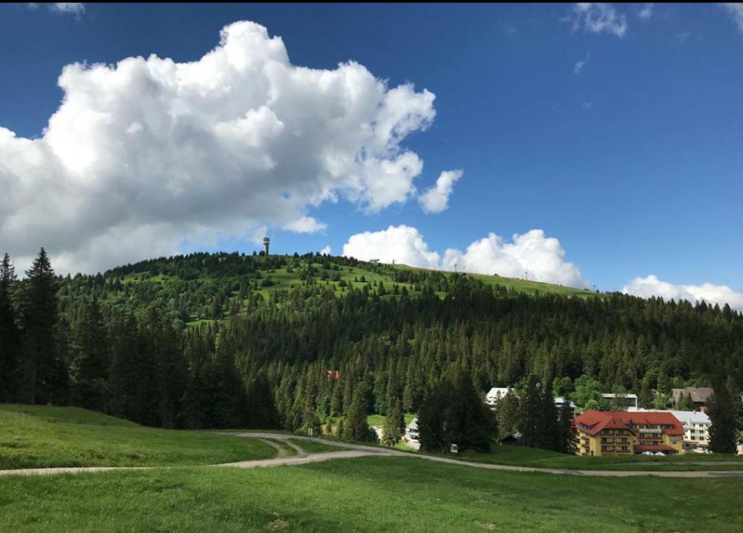 Ferienwohnung Feldberg Mit Whirlpool Direkt An Der Skipiste 外观 照片